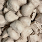 Freeze Dried Zappos - Cola